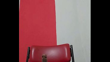 Cdjessica monta la polla de su amo en el entrenamiento sissy